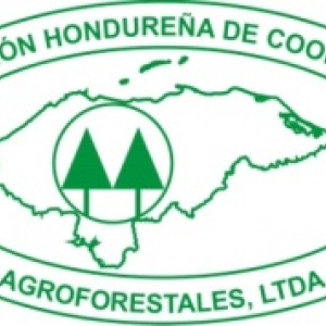 Asamblea de Jovenes Cooperativistas Agroforestales 2021