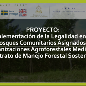 Implementación de la legalidad en los bosques asignados a organizaciones agroforestales mediante contrato de manejo forestal comunitario